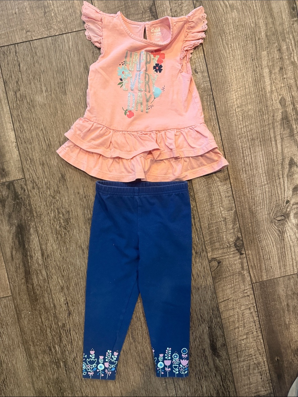🏅 10/$10 Carter's floral pink top with blue leggings